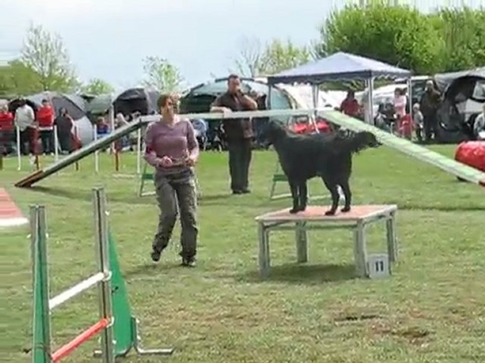 concours d'agility du subdray le 02-05-2010 097