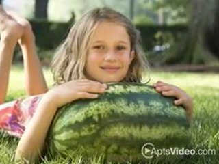 Oaktree Apartments in Simi Valley, CA - ForRent.com