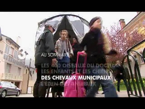 Sommaire émission 30 Millions d'Amis du 22 05 10