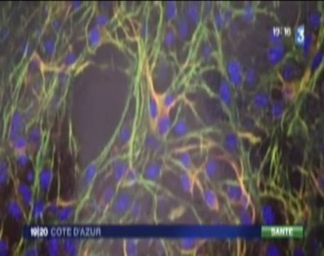 Semaine du Cerveau 2010 en Côte d'Azur - Reportage France 3 19/20