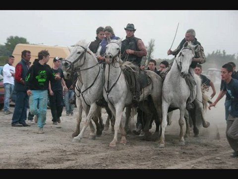 AIGUES MORTES 1MAI 2010