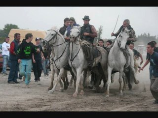 AIGUES MORTES 1MAI 2010