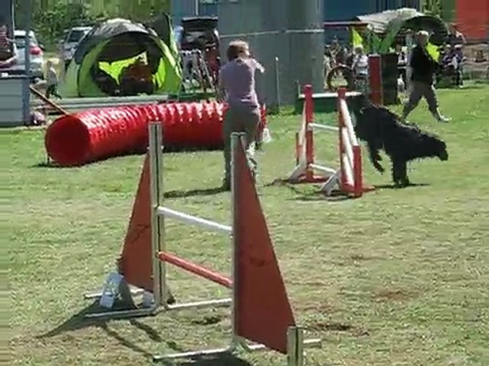 concours d'agility du subdray le 02-05-2010 104