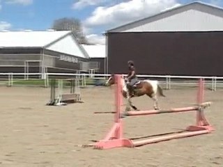 Smokin Aces (Braxton)