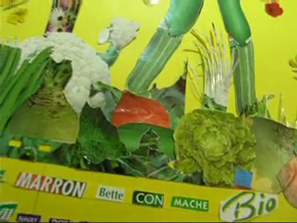 Sachets de graines