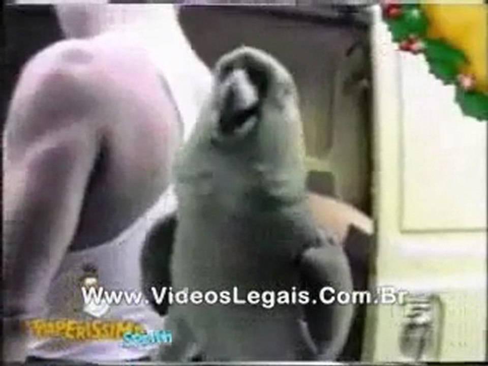 Evde bebek varken papagan beslemeyin:)