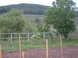 5 Mai 2010 dans les vignes.... froid et venteux