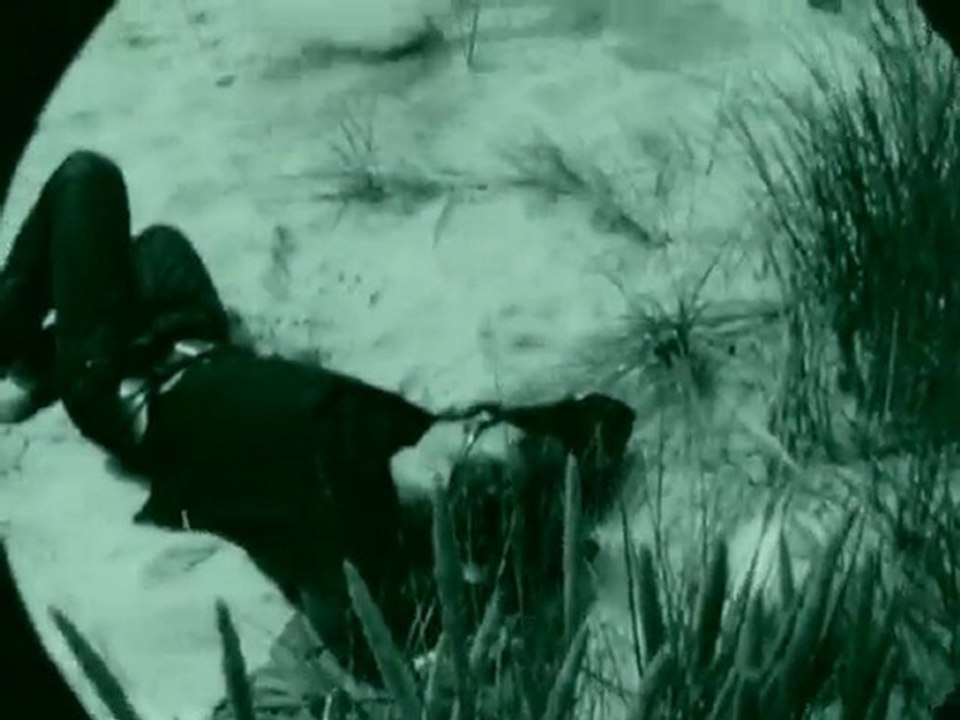 Buchtrailer zu Nächsten Sommer