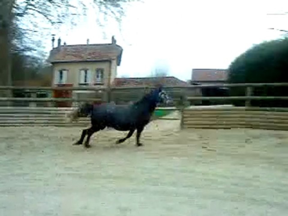 Rond main droite