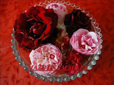 ๑۩۞۩๑d๑۩۞۩๑KHLA DAR MHA EL KHALIA ๑۩۞۩๑h๑۩۞۩๑.