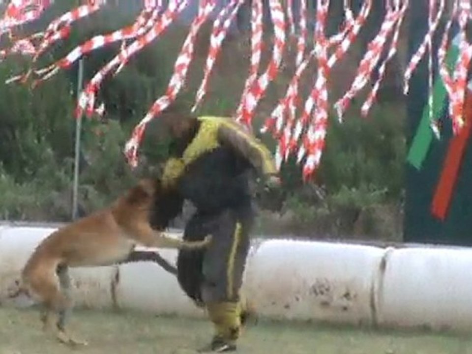 Mondioring Gun, Face à Roquebrune