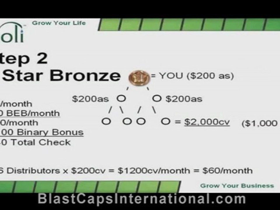 Yoli Sports Drink Business OPPORTUNITY