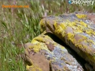 Life In Cold Blood - 5th May 2010  - Part1