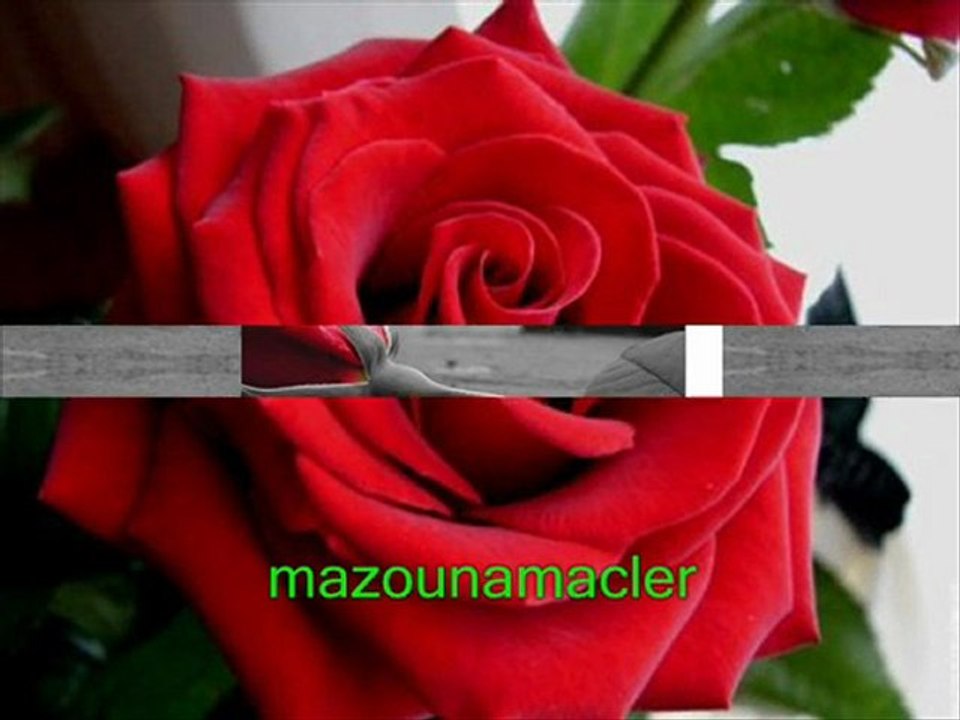 ๑۩۞۩๑d๑۩۞۩๑cheb khaled.....lehouawiya๑۩۞۩๑h๑۩۞۩๑.