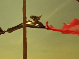 Adidas World Cup commercial - spec