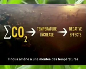 CHAT PITRE et PSYCHOPATHE v 2.0