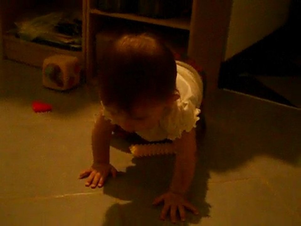 05.05.2010 premiers quatres pattes