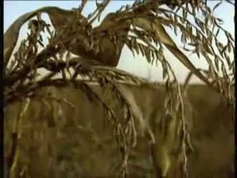 2/3 chemtrails solution - EFFET MIROIR - pollution secrète