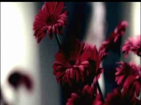 Sylver - Turn The Tide (CJ Stone Remix)