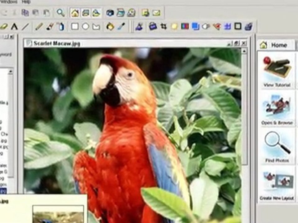 Digital Picture Editing: Various ways to get it done
