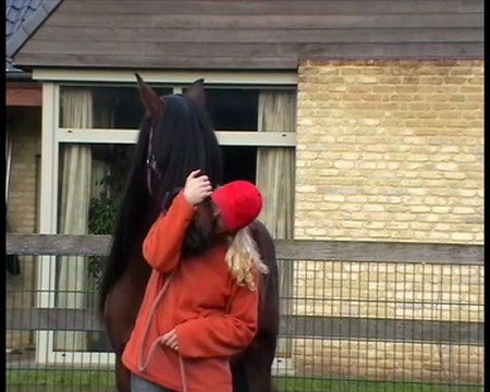 cmg angels bolero / trailerloading