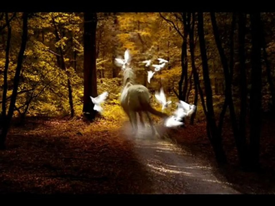 Mythical Creatures of Fantasy Community