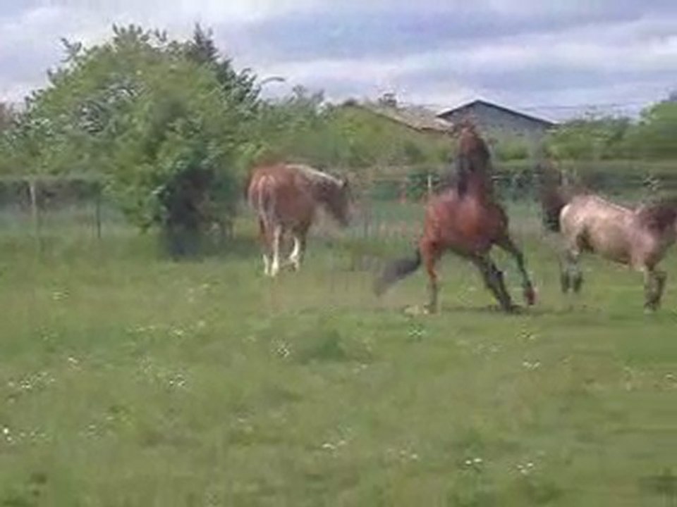 MA TROUPE