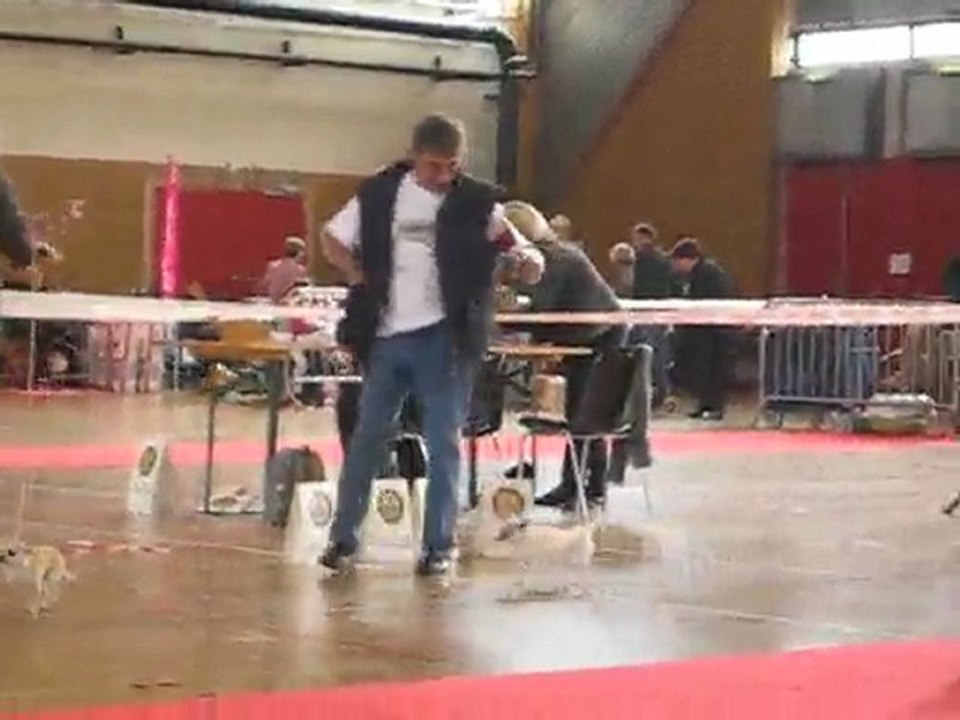 ENZO AMIENS