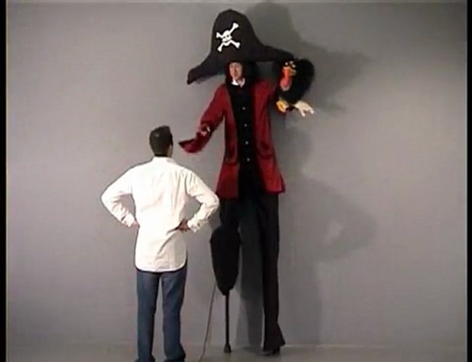 Echassier pirate