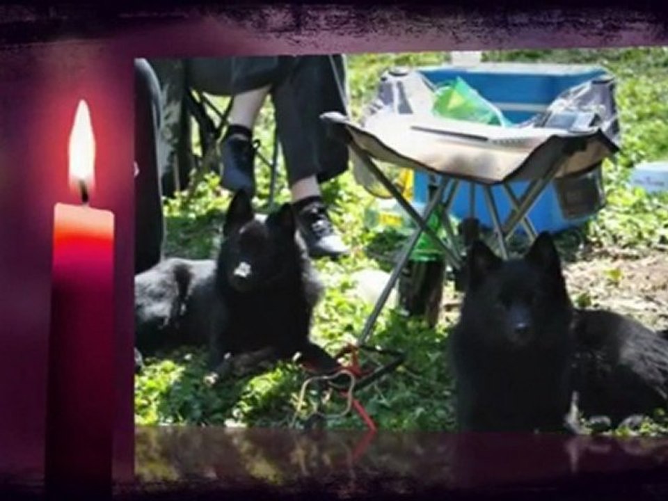 Diam's notre petit démon, notre amour.....