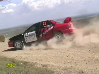 Rallye Terre de l''Auxerrois 2010 T3V