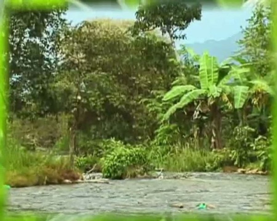 ???? Par Où Commencer ?????