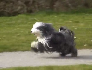 SULTANE des Sources du Salaison en Balade
