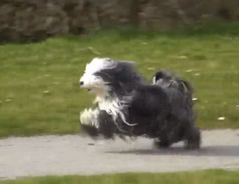 SULTANE des Sources du Salaison en Balade