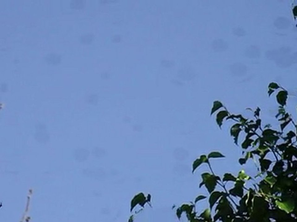 Daytime UFOs over Texas - 5 May 2010