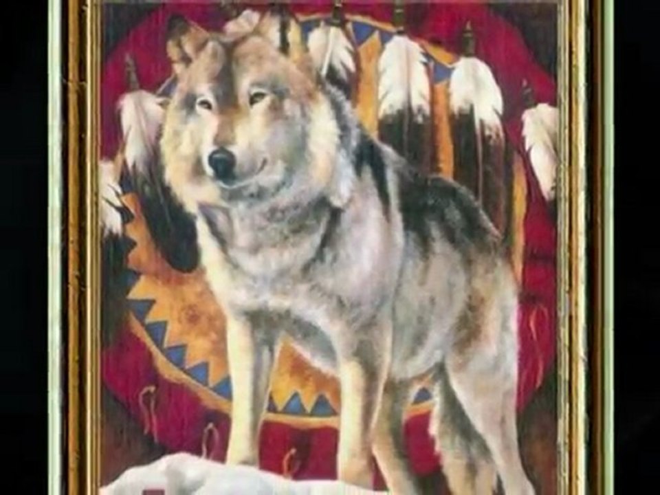 les loups et les indiens d' amerique