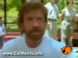 Funny cat VS Chuck Norris