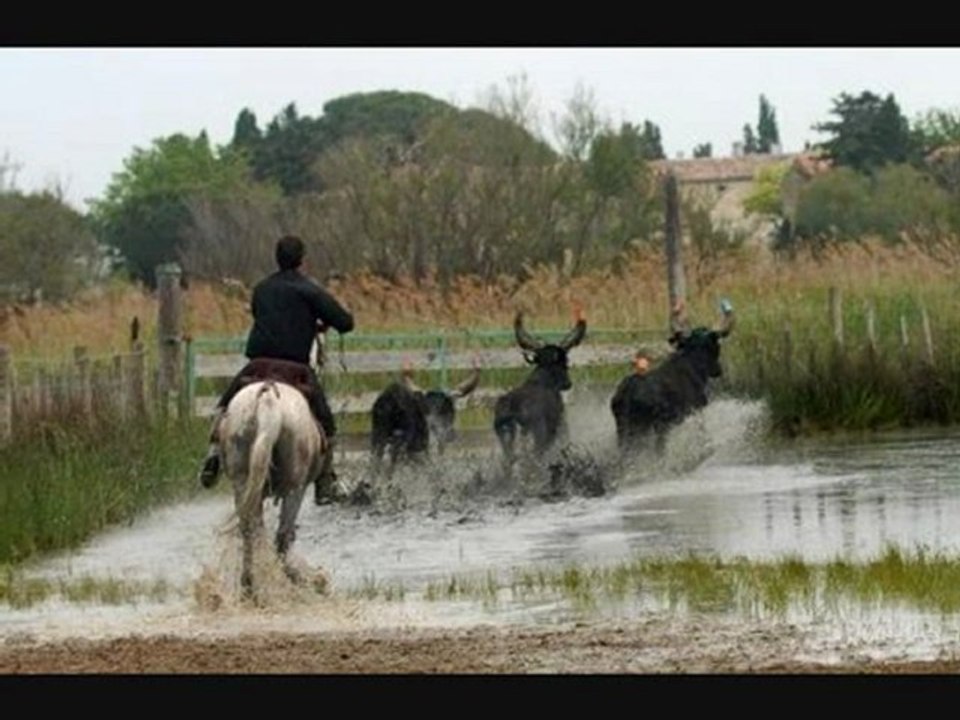 AIGUES MORTES 1 MAI MANADE CHABALLIER