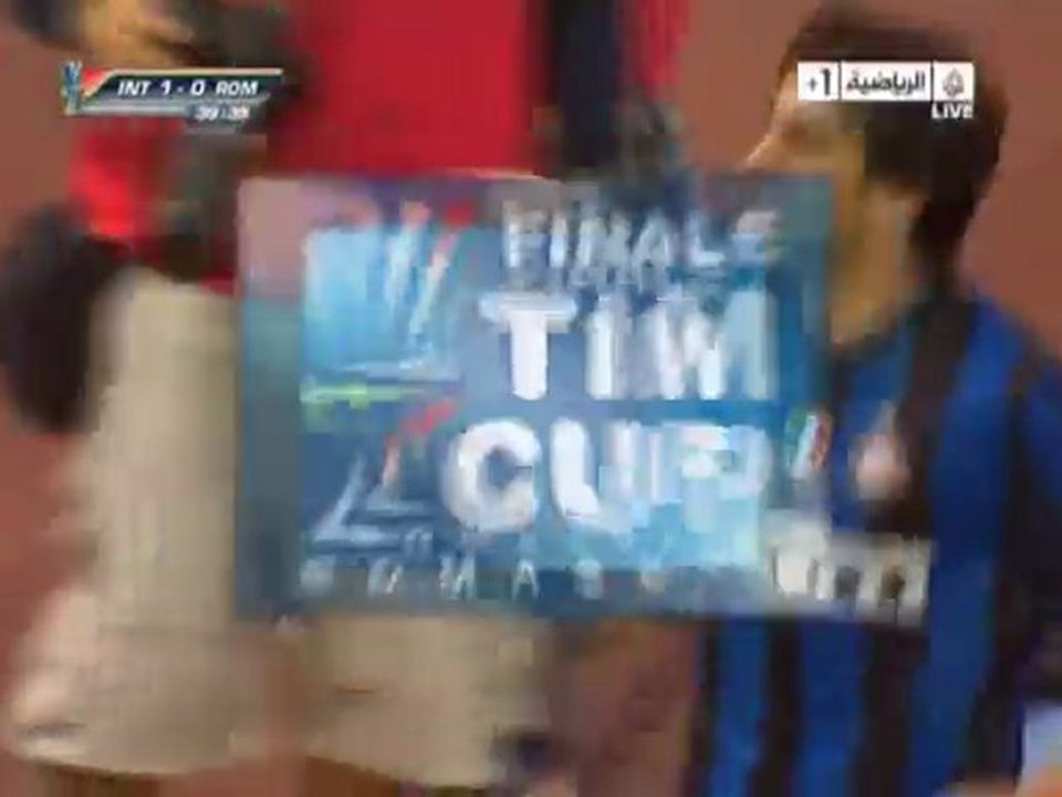 INT 1-0 ROM