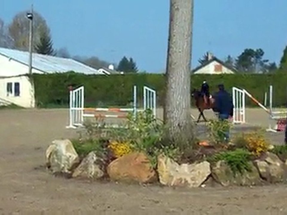 Entrainement Orée de la foret Mirabelle 1