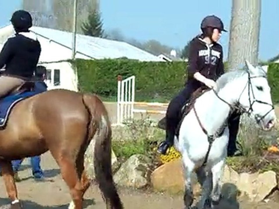 Entrainement Orée de la foret Mirabelle 4