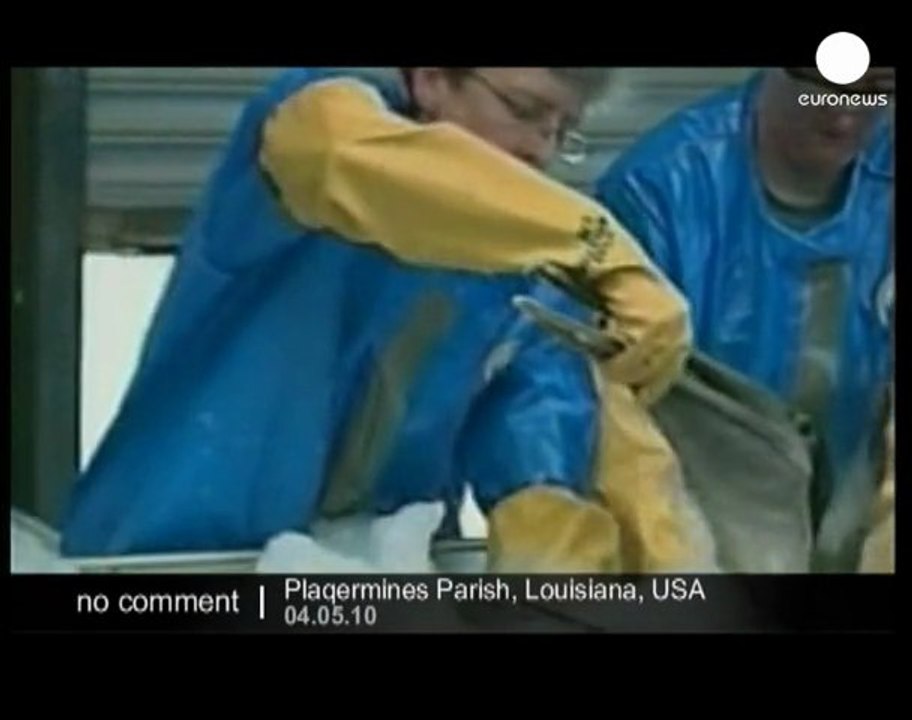 A pelican covered in oil rescued in Louisiana