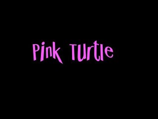 Pink Turtle is "Back Again"