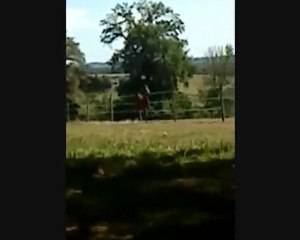 Parce-qu'ils marchent dans nos rêves