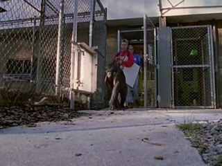 Brain story Ep 4 de 6 Pt 3 de 4 (Legendado PT-BR)