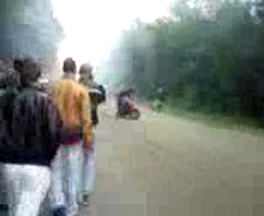 stunt hornet