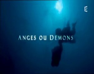 des requins et des hommes ep 3 (1)