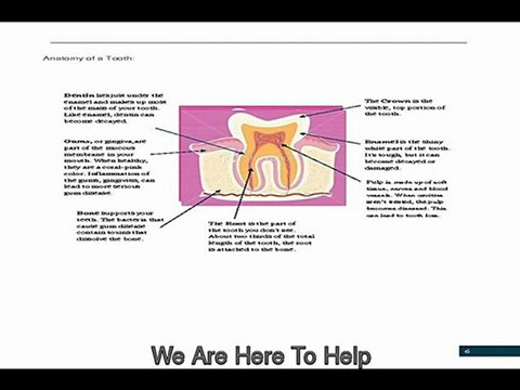 Paramus New Jersey Best Dentists