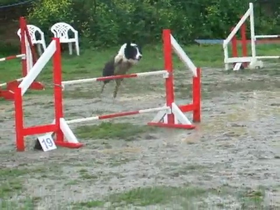 Cayenne jump 3 degré Sélectif Régional 2010