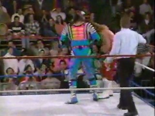 WWF Raw 11/01/1993 Partie 3/4